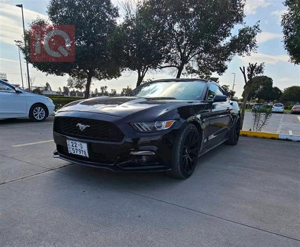 Ford for sale in Iraq